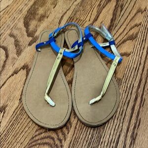 Blue and Gold Strappy Sandals